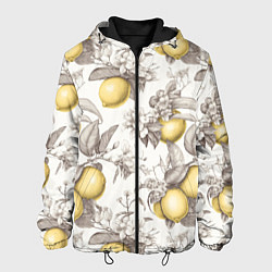 Куртка с капюшоном мужская Лимоны - винтаж графика: паттерн, цвет: 3D-черный