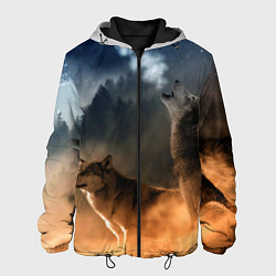 Куртка с капюшоном мужская Волки на севере, цвет: 3D-черный