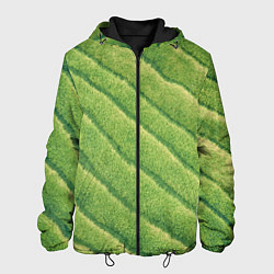 Мужская куртка Травяной паттерн