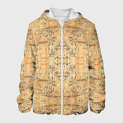 Куртка с капюшоном мужская Пески Египта, цвет: 3D-белый