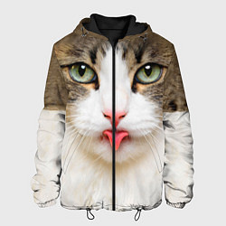 Куртка с капюшоном мужская Кошка показывает язык, цвет: 3D-черный