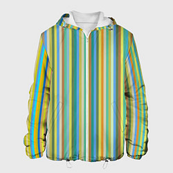 Куртка с капюшоном мужская Вертикальные разноцветные пполсы, цвет: 3D-белый