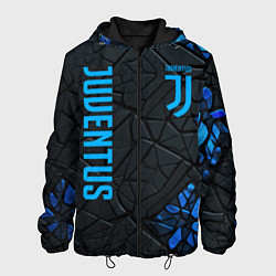Куртка с капюшоном мужская Juventus logo, цвет: 3D-черный