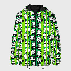 Мужская куртка Мишки панда мультяшные