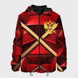 Куртка с капюшоном мужская Герб России на красном абстрактном фоне, цвет: 3D-черный