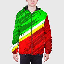Куртка с капюшоном мужская Расцветка Зеленоградского флага, цвет: 3D-черный — фото 2