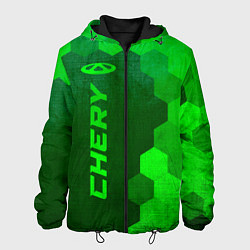 Куртка с капюшоном мужская Chery - green gradient по-вертикали, цвет: 3D-черный