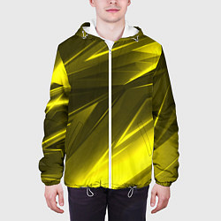 Куртка с капюшоном мужская Gold stripes abstraction, цвет: 3D-белый — фото 2