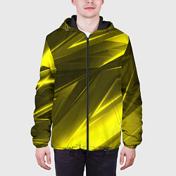 Куртка с капюшоном мужская Gold stripes abstraction, цвет: 3D-черный — фото 2