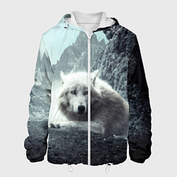 Куртка с капюшоном мужская Волк в горах, цвет: 3D-белый