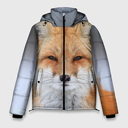 Куртка зимняя мужская Хитрая лиса, цвет: 3D-черный