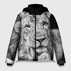 Куртка зимняя мужская Милый лев, цвет: 3D-светло-серый