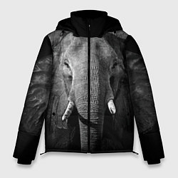 Мужская зимняя куртка Взгляд слона