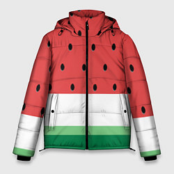 Куртка зимняя мужская Сочный арбуз, цвет: 3D-светло-серый