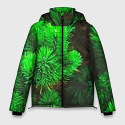 Мужская зимняя куртка Зелёная ель