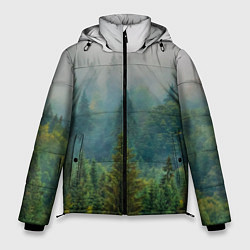 Куртка зимняя мужская Лес, цвет: 3D-светло-серый