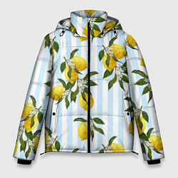 Куртка зимняя мужская Лимоны, цвет: 3D-черный