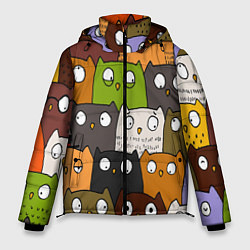 Куртка зимняя мужская СОВЫ КОТИКИ, цвет: 3D-светло-серый