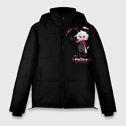 Куртка зимняя мужская MALINA, цвет: 3D-черный