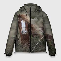 Куртка зимняя мужская Конь, цвет: 3D-черный