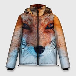 Куртка зимняя мужская Мордочка лисы, цвет: 3D-черный