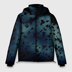 Мужская зимняя куртка Flock of birds