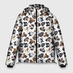 Куртка зимняя мужская Разные Породы Собак, цвет: 3D-черный