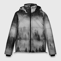 Куртка зимняя мужская ТУМАННЫЙ ЛЕС FOREST, цвет: 3D-черный