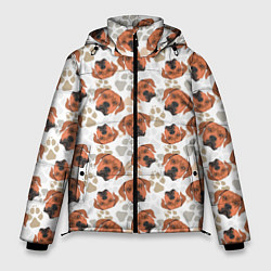 Куртка зимняя мужская Собака Родезийский Риджбек, цвет: 3D-светло-серый