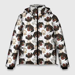 Куртка зимняя мужская Такса Dachshund Dog, цвет: 3D-светло-серый