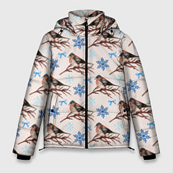 Куртка зимняя мужская Снегири зима, цвет: 3D-черный