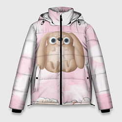 Куртка зимняя мужская Большой забавный заяц, цвет: 3D-светло-серый