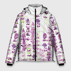 Мужская зимняя куртка Цветы Лаванды акварелью