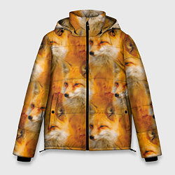 Мужская зимняя куртка Рыжая лисица - паттерн
