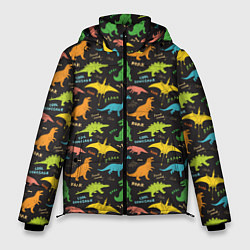 Мужская зимняя куртка Разноцветные Динозавры