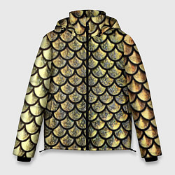 Куртка зимняя мужская Чешуя золотая, цвет: 3D-светло-серый