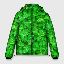 Мужская зимняя куртка Зелёные листья - текстура