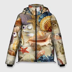 Мужская зимняя куртка Морские раковины, кораллы, морские звёзды на песке