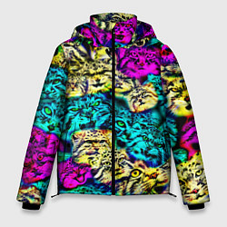 Куртка зимняя мужская Психоделические манулы, цвет: 3D-черный