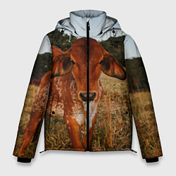 Куртка зимняя мужская Коровка на поле, цвет: 3D-черный
