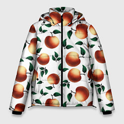 Мужская зимняя куртка Яблочный дождь