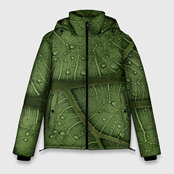 Мужская зимняя куртка Текстура зелёной листы