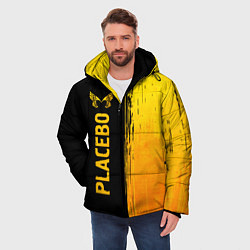 Куртка зимняя мужская Placebo - gold gradient: по-вертикали, цвет: 3D-черный — фото 2