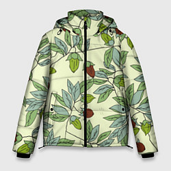 Мужская зимняя куртка Зелененькие листья