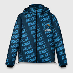 Куртка зимняя мужская Rogue форма, цвет: 3D-черный