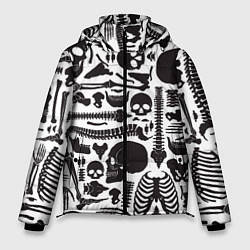 Куртка зимняя мужская Human osteology, цвет: 3D-черный