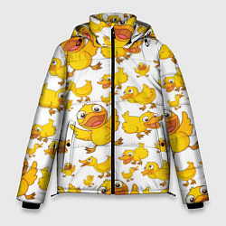 Мужская зимняя куртка Yellow ducklings