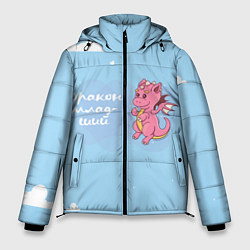 Куртка зимняя мужская Младший дракон, цвет: 3D-светло-серый