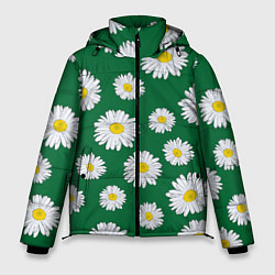 Мужская зимняя куртка Ромашки поле из цветов
