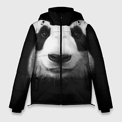 Мужская зимняя куртка Взгляд панды
